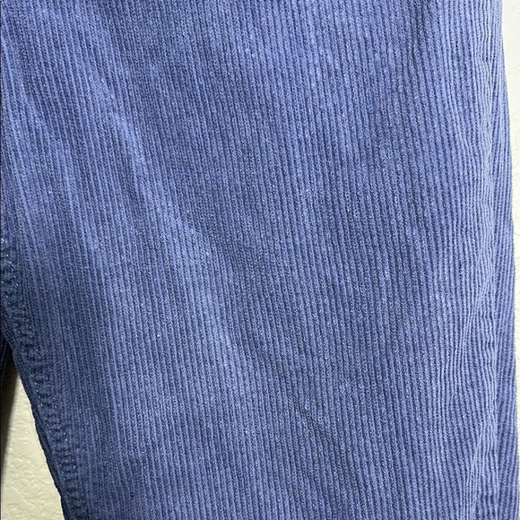 BDG Blue Corduroy Pants 30 - Picture 5 of 6